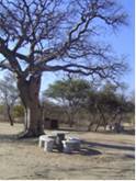khama rhino sanctuary picnic sites